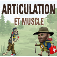 premiers secours articulation randonneur attelle modelable sam achat attele maintien membre premiers secours en montagne militaire