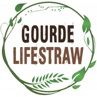 Lifestraw gourde filtrante go2 charbon actif de randonnée souple flex