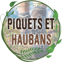 Piquets et Haubans