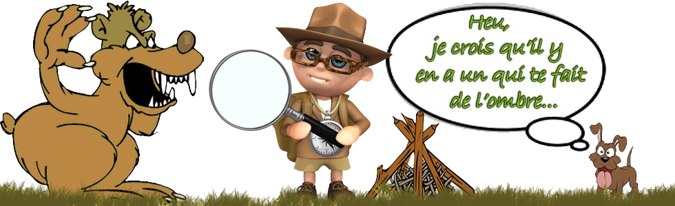 boutique couteau poignard mora bushcraft france achat meilleur poignard bushcraft lame acier inox
